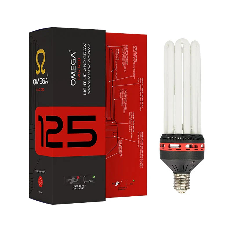 CFL Bulbs