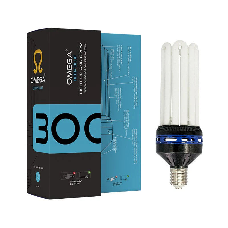 CFL Bulbs