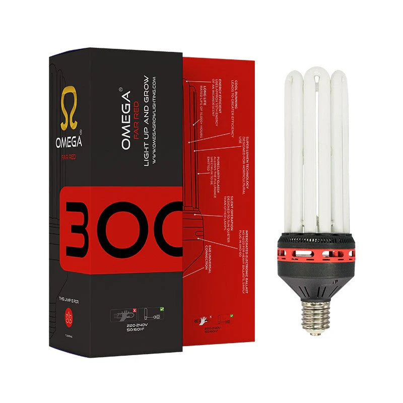 CFL Bulbs