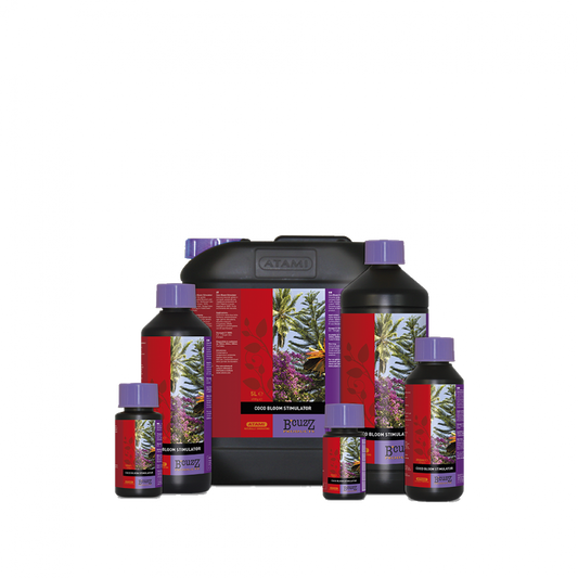 Atami Coco Bloom Stimulator