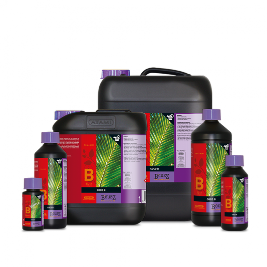 Atami B'Cuzz Coco Nutrition A&B