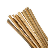 Bamboo Canes