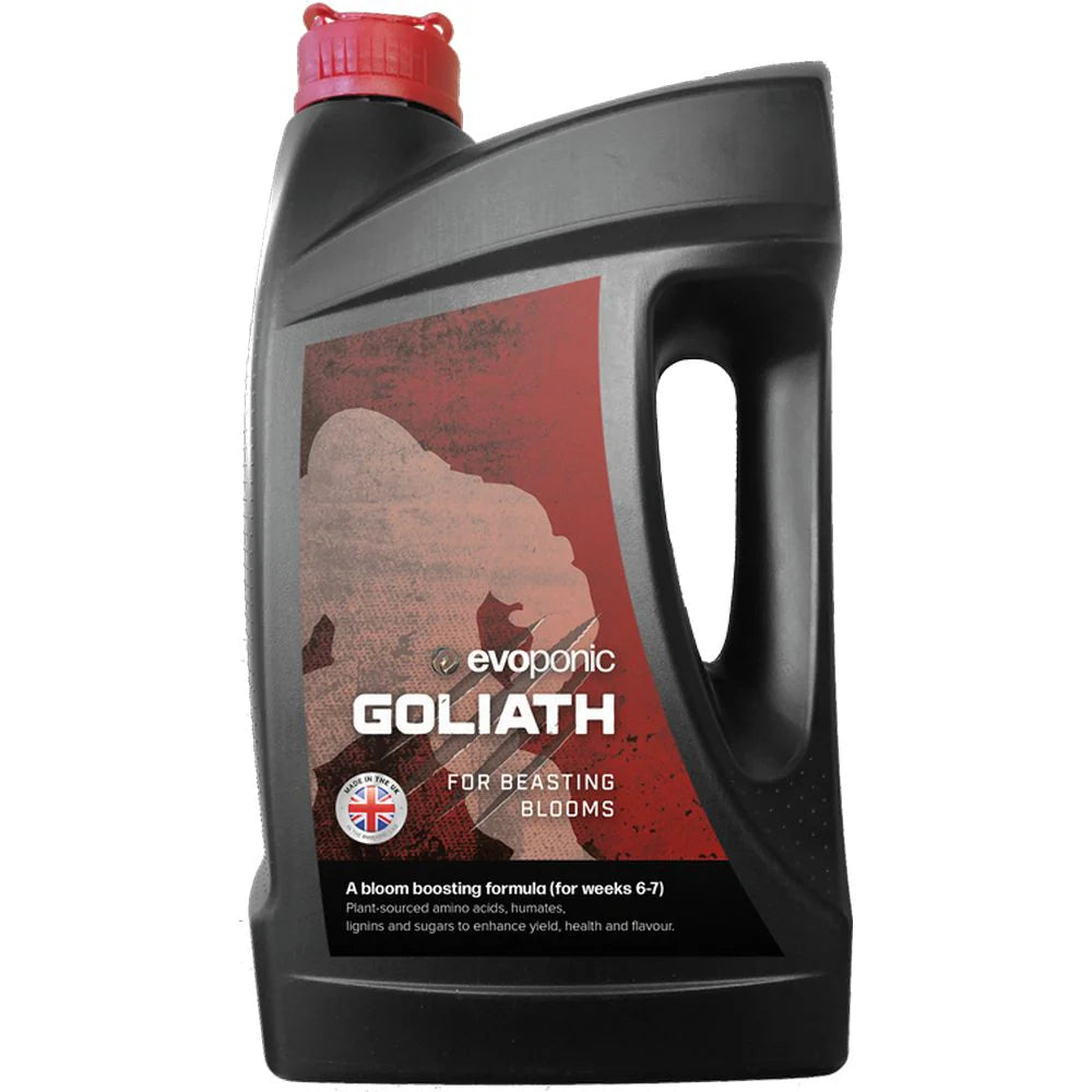 Goliath