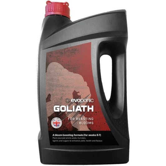 Goliath