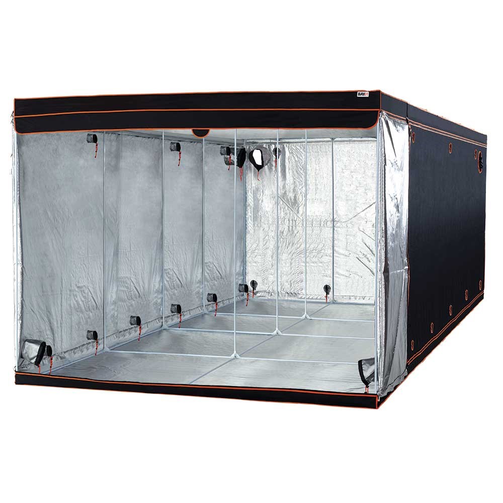 BAY6 grow tent 6m x 3m x 2.4m