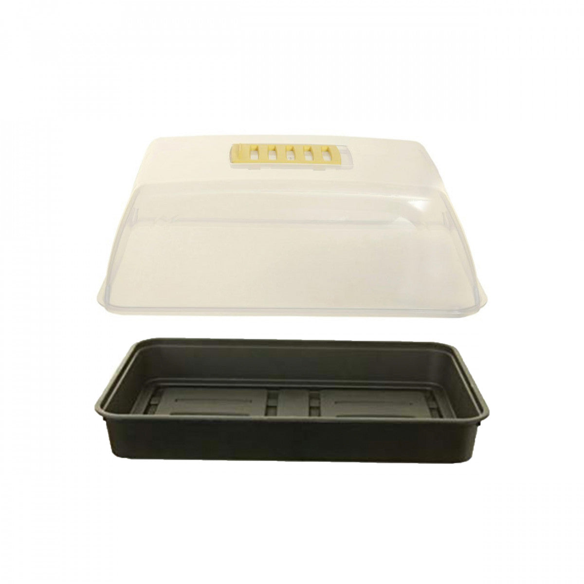 Large Propagator - 52cm x 37cm