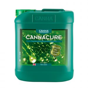 Cannacure