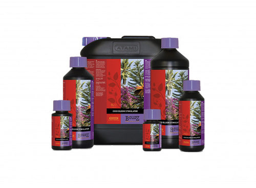 Atami Coco Booster