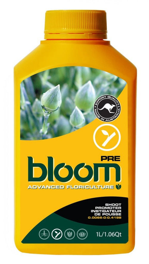 Bloom - Pre