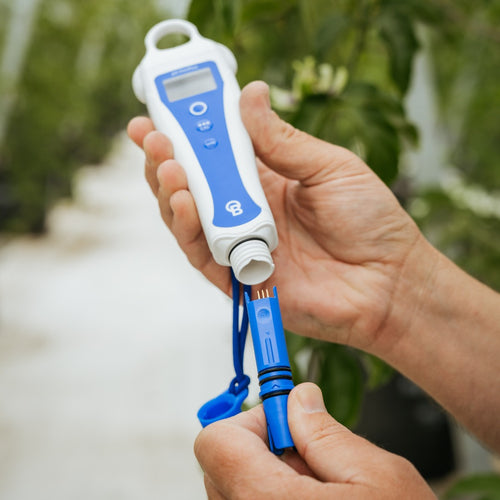 Bluelab pH PenPlus with its replaceable pH/temperature probe unscrewed for swapping