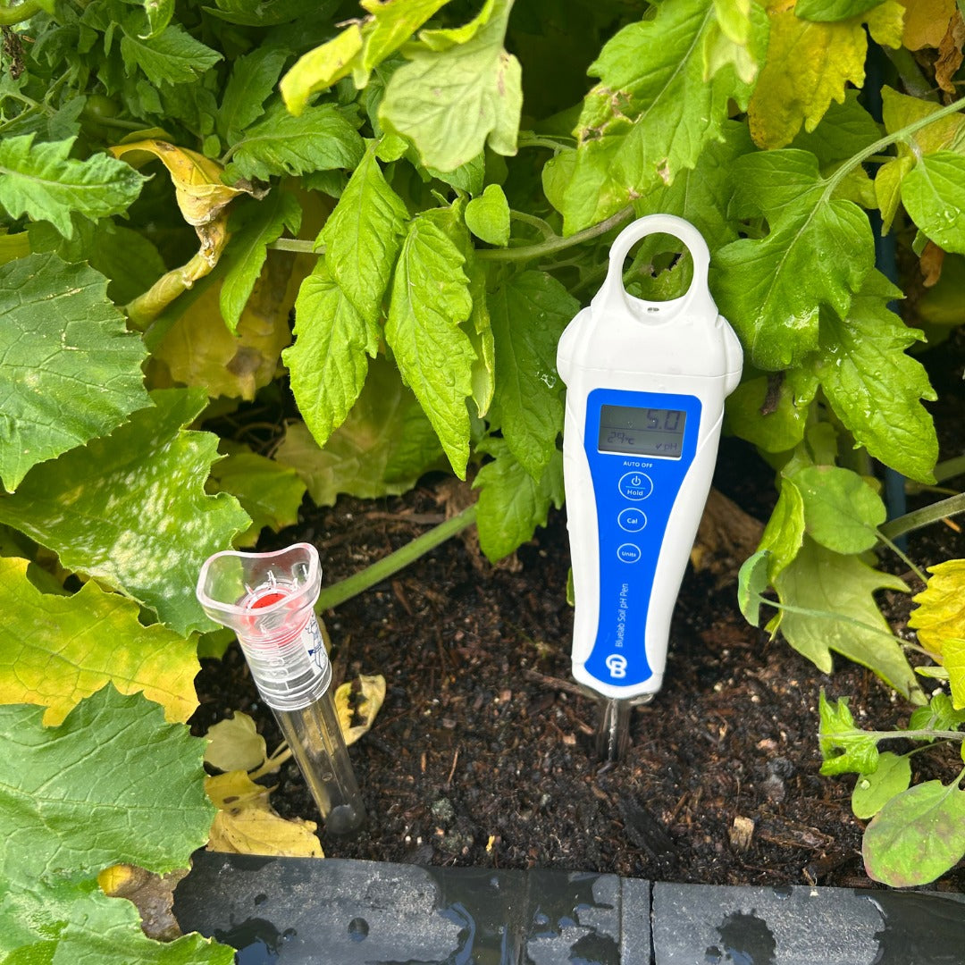 Bluelab Soil pH Pen measuring pH in a planted bed, dibber cap stood beside it