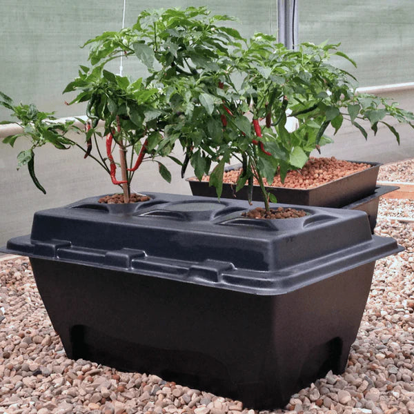 Oxypot XL Complete Kit (2 Plants) - 70L (58.5 x 83 x 38cm)