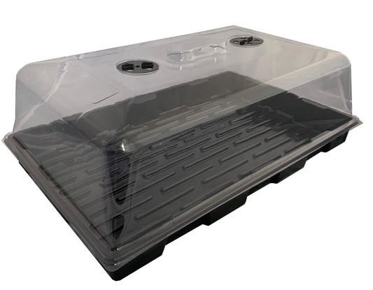 Large Budget Propagator