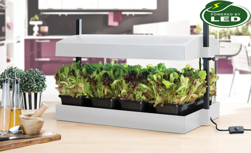 Garland Grow Light Garden lifestyle shot showing salad leaves growing under the LED light on a kitchen worktop