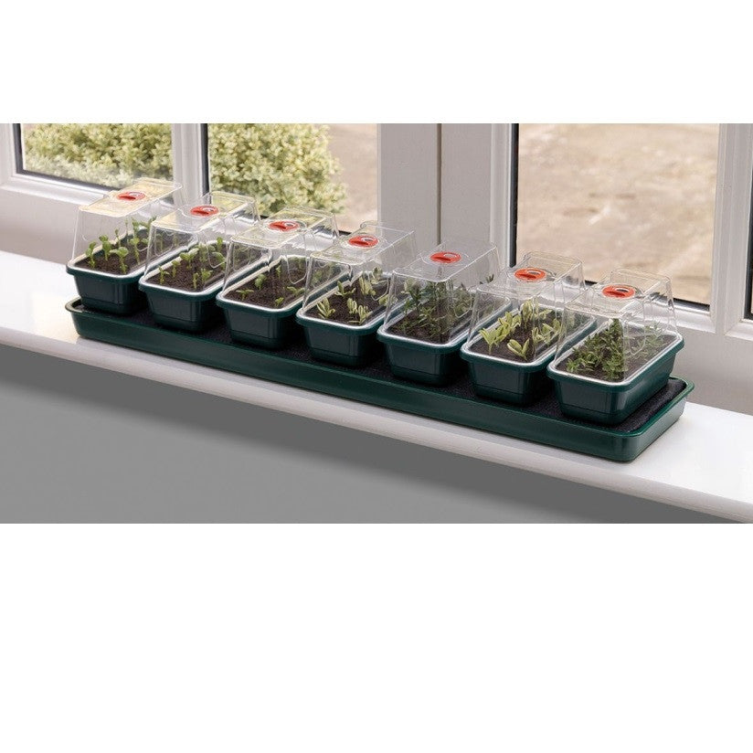 Garland Super 7 Self Watering Propagator, seven-cell windowsill tray
