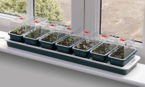 Garland Super 7 Windowsill Propagator, official manufacturer product photo