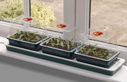Garland Trio Top Propagator, official manufacturer product photo