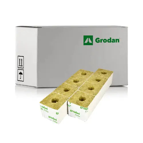 Grodan Rockwool Blocks for Cuttings and Seedlings