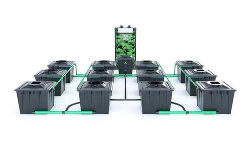 Alien RDWC 12 Pot 36L Black Series
