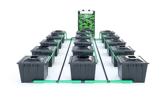 Alien RDWC 15 Pot 36L Black Series