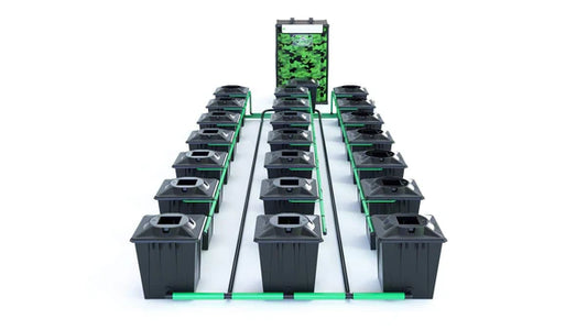 Alien RDWC 21 Pot 20L Black Series