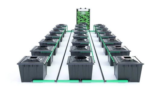 Alien RDWC 21 Pot 36L Black Series