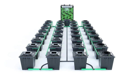 Alien RDWC 32 Pot 20L Black Series