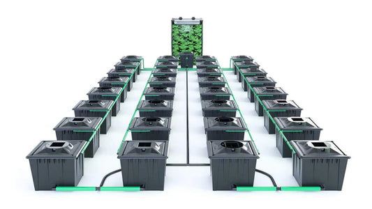 Alien RDWC 32 Pot 36L Black Series