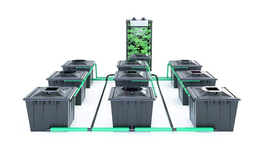 Alien RDWC 9 Pot 36L Black Series