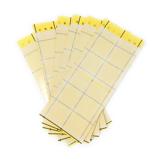 Yellow Sticky Insect Traps x6