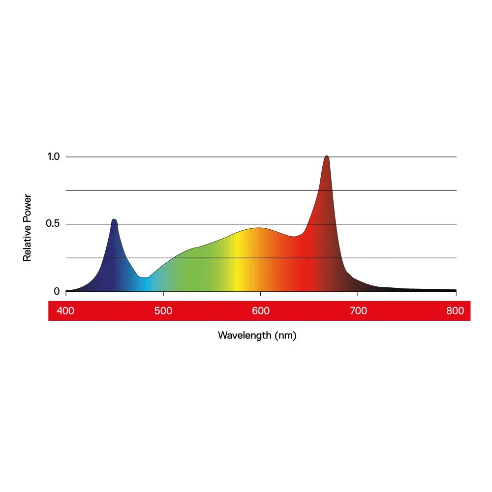 Maxibright Juno Pro 1944 LED spectral output graph across 400-800nm wavelength