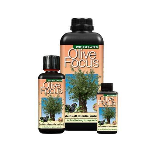 Growth Technology Olive Focus Liquid Feed for Olive Trees
