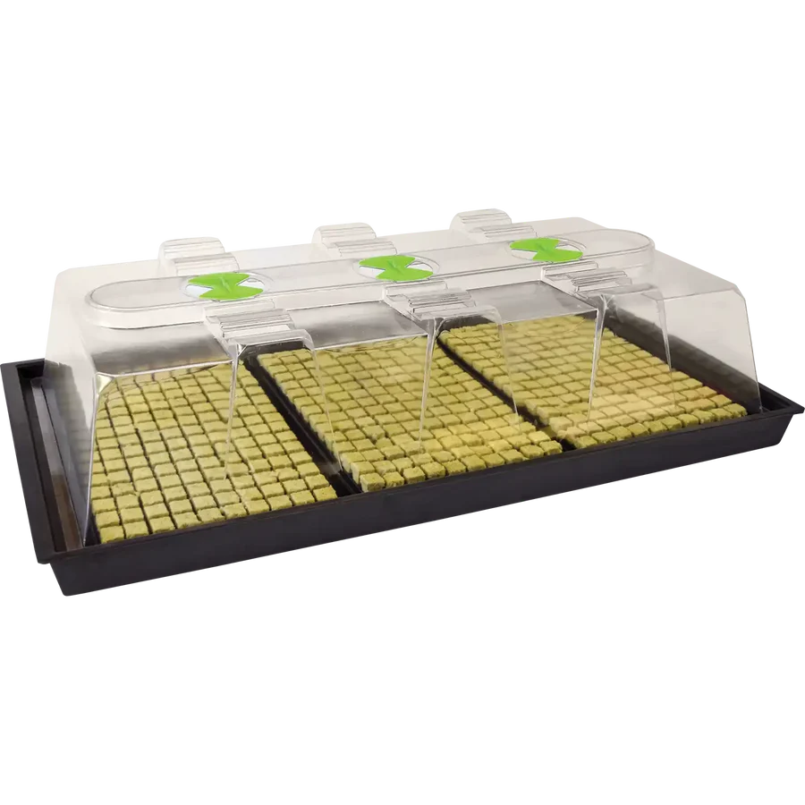 X-Stream Heated Propagator – Adjustable Thermostat Propagation System
