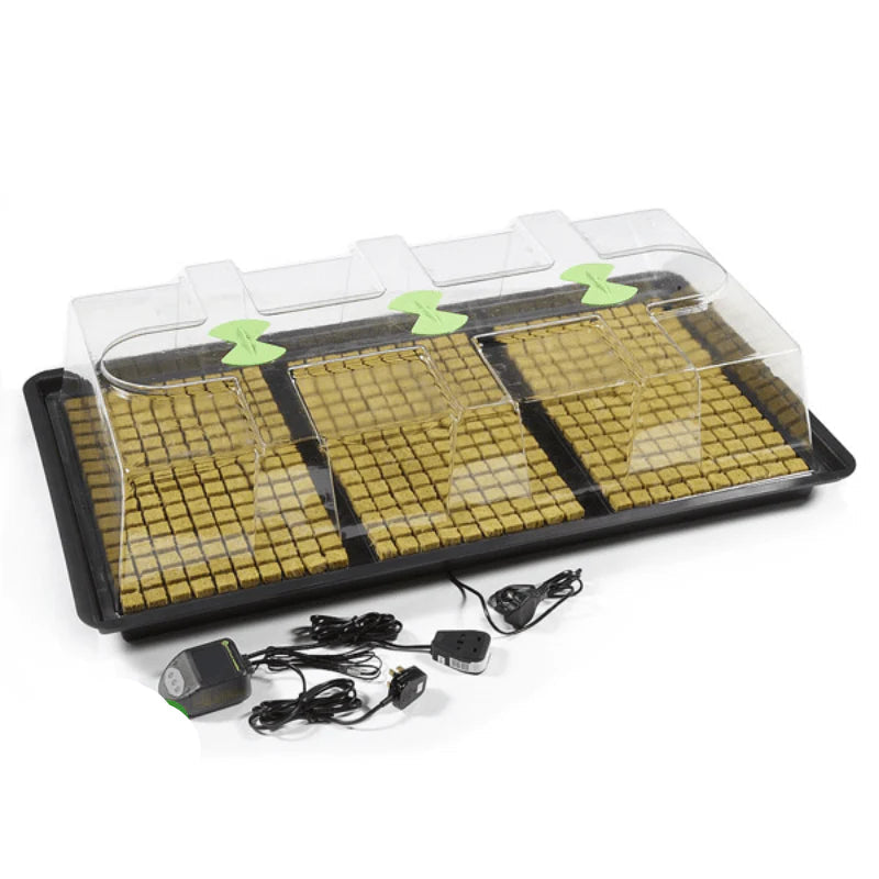 X-Stream Heated Propagator – Adjustable Thermostat Propagation System — Large with Thermostat