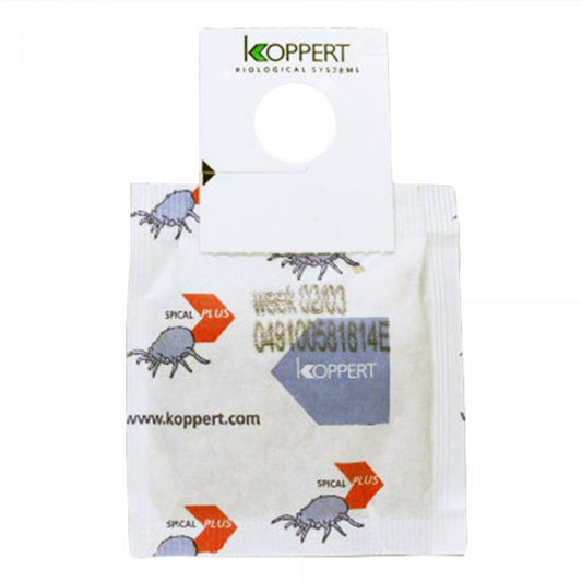 Spider Mite Predator Sachets