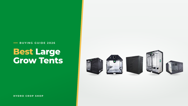 Best large grow tents: BudBox Pro 2.4m, BudBox Pro XL Plus-R loft tent, LightHouse MAX, BudBox Pro GT-1 and GorillaBox Deluxe