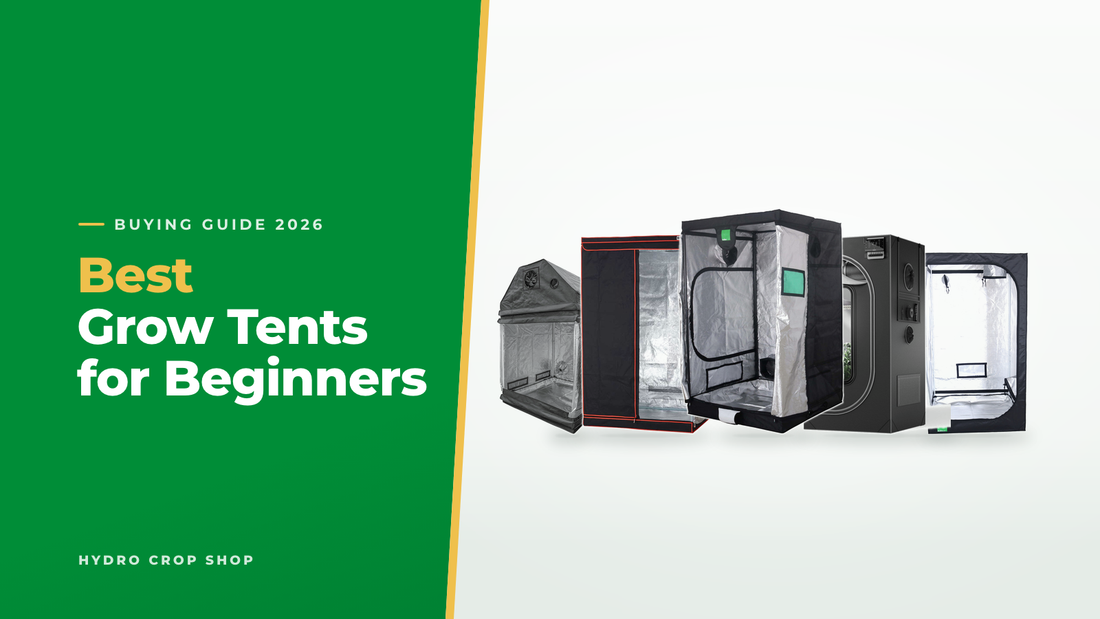 Best grow tents for beginners: LightHouse Loft, BAY6, BudBox Pro, AC Infinity CloudLab and BudBox Lite tents
