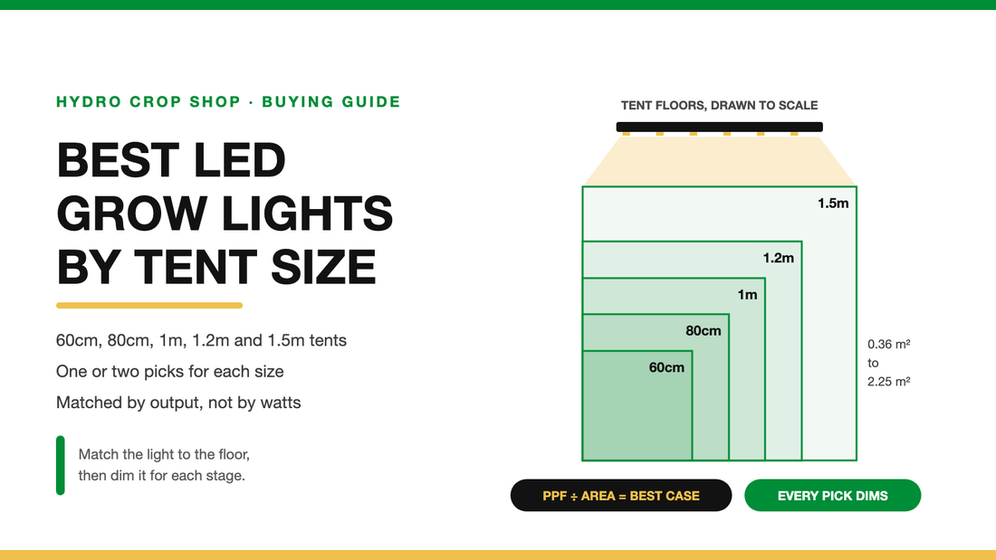 Best LED grow lights by tent size: 60cm to 1.5m tent floors drawn to scale under an LED bar light