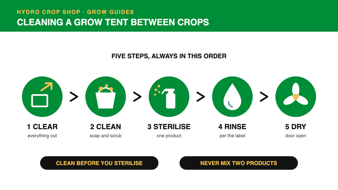 Cleaning a grow tent between crops: clear, clean, sterilise, rinse, dry