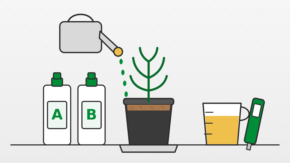 Feeding in Coco: Nutrients, EC & pH Made Simple
