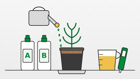 Feeding in Coco: Nutrients, EC & pH Made Simple