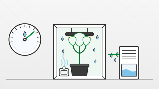 Grow Tent Humidity: The Right RH for Every Stage (and How to Control It)