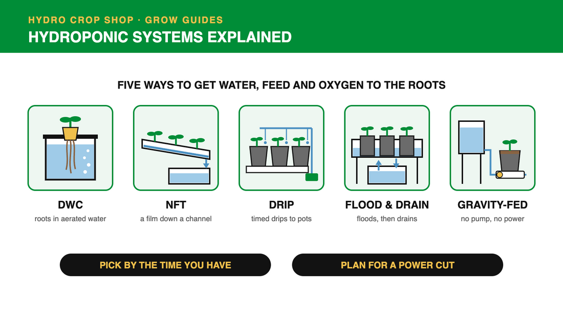 Hydroponic systems explained: DWC, NFT, drip, flood and drain and gravity-fed systems compared