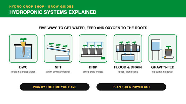 Hydroponic systems explained: DWC, NFT, drip, flood and drain and gravity-fed systems compared