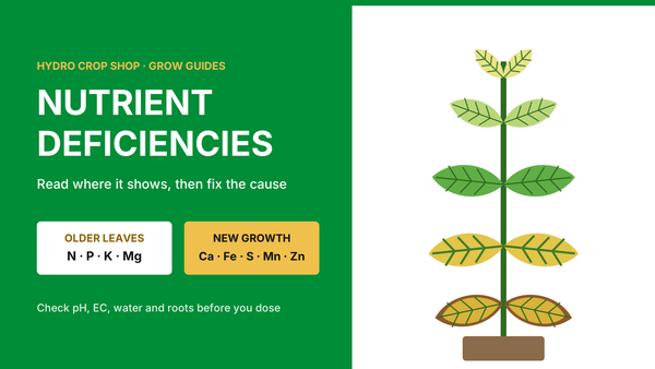 Nutrient deficiencies: older leaves show N, P, K and Mg first; new growth shows Ca, Fe, S, Mn and Zn first