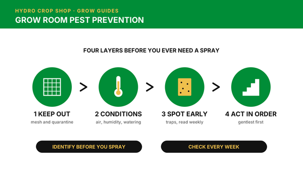 Grow room pest prevention in four layers: keep pests out, set the conditions, spot them early and act in order