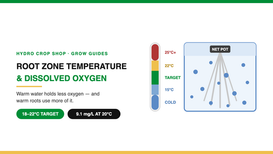 Root zone temperature and dissolved oxygen: the 18 to 22 degree target band