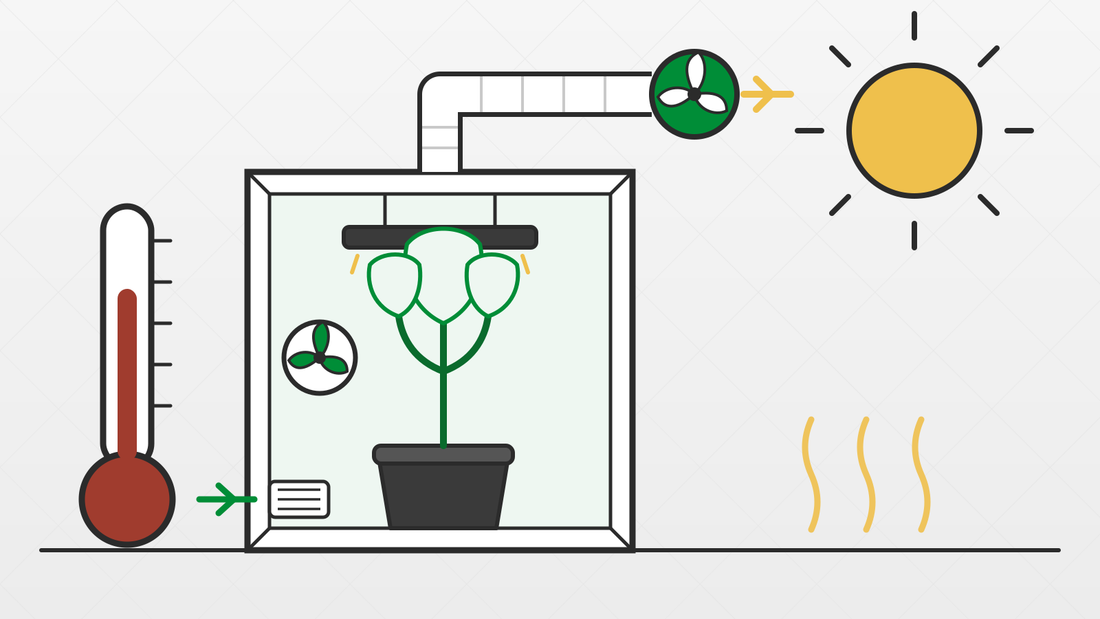 How to Keep Your Grow Tent Cool in Summer (Without an AC Unit)