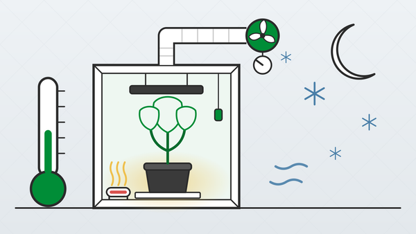 Grow tent kept warm in winter with a tube heater, thermostat probe and slowed extractor fan