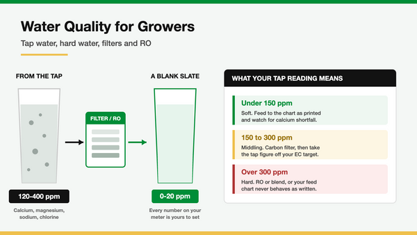 Water quality for growers: tap water, hard water, filters and reverse osmosis